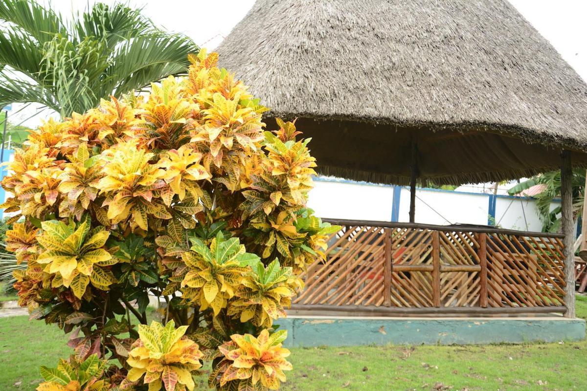 Kimere Resort Bagamoyo Luaran gambar